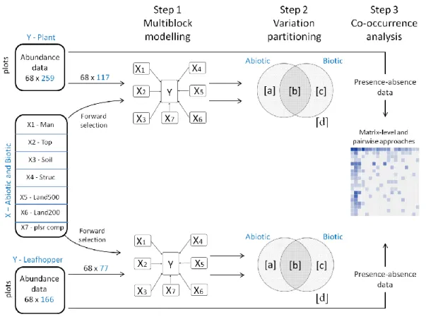 Figure  3:1  Overview  of  the  statistical  approach  encompassing  three  steps.  X  –  Abiotic  factors,  6  data  sets: 