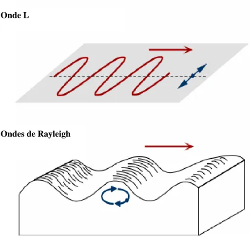 Figure 1.6 Représentation du mouvement des ondes L et des ondes Rayleigh[2].