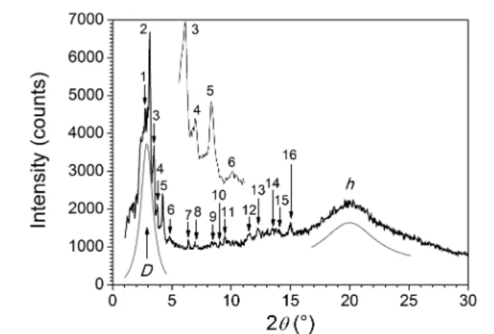Figure 7. Representative SAXS patterns of [P 3 ⊂ 1][DOS] 4 at T = 80 ° C.