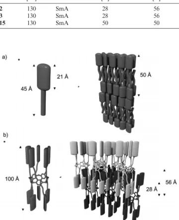 Figure 2. (a) Theoretical molecule length of 15 and postulated ar- ar-rangement in the SmA phase