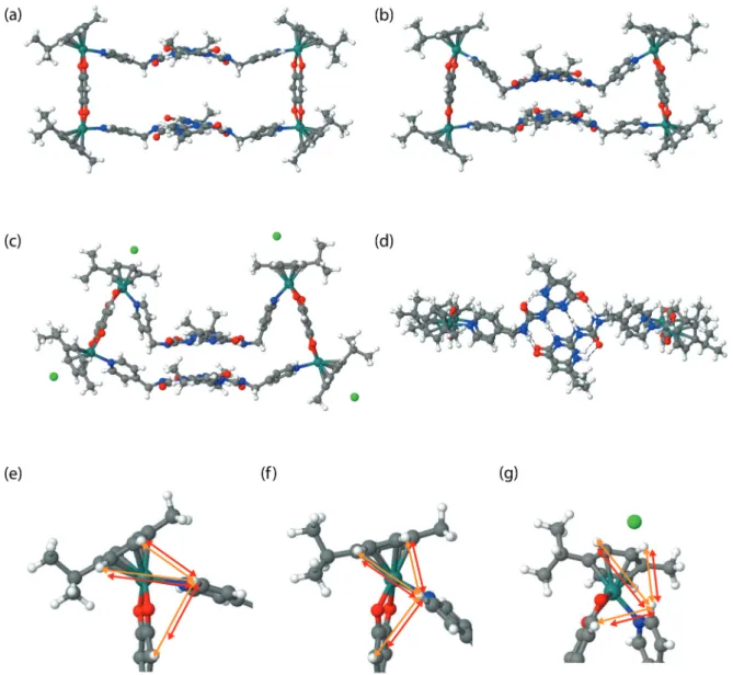 Fig. 8 (a) Structure of [( p -cymene) 2 Ru 2 (OO ∩ OO)(UPy) 2 ] 2 4+ as optimized using DFT methods