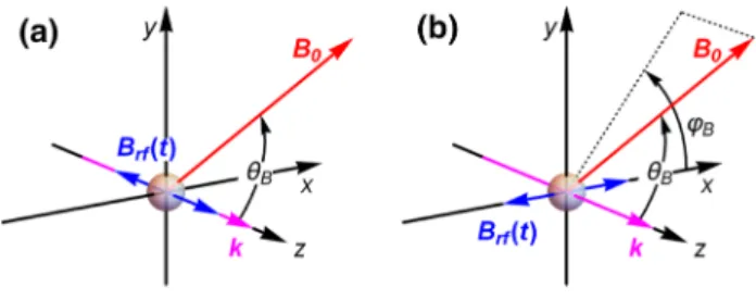 Fig. 2    Definition of the orientation angles θ B  and φ B  of the magnetic  field in the geometries B 1 k (a) and B 1 ⊥k (b)
