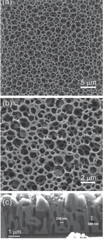 Fig. 1. SEM of hyperuniform disordered network structures. (a) Top view of a polymer template with a  2 μm and height h  5.5 μm