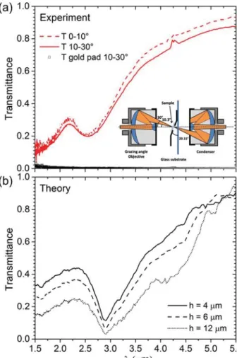 Fig. 2. (a) Fourier transform infrared spectroscopy (FTIR) of silicon hyperuniform network structures