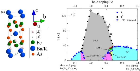 FIG. 1. (a) Crystal structure of BKFA indicating the main muon site μ + 1 and secondary muon site μ + 2 