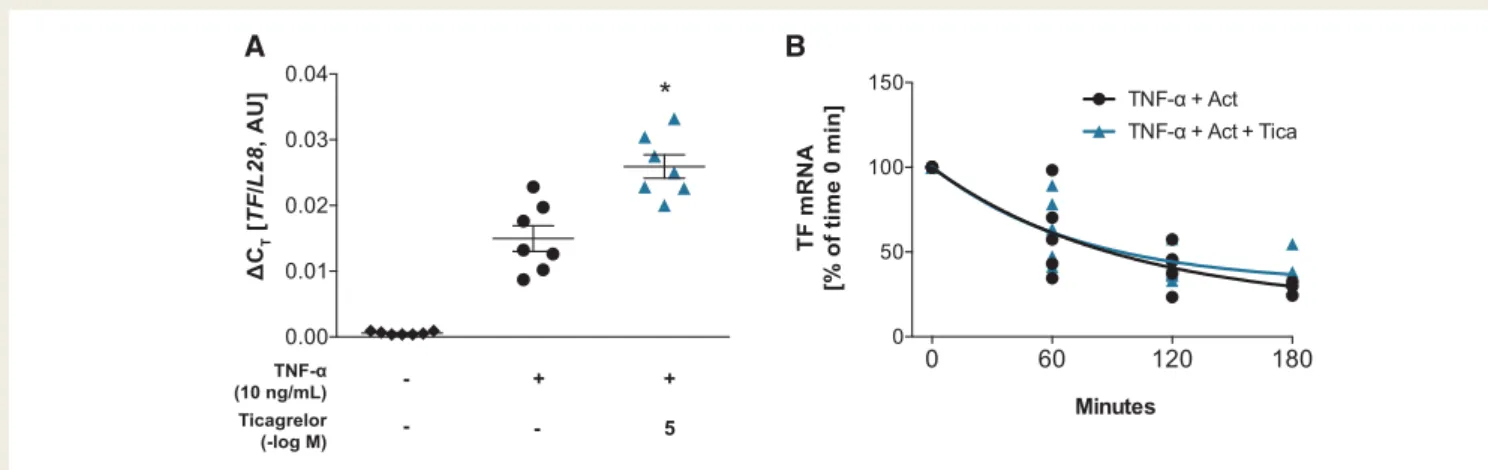 Figure 2 Ticagrelor augmented TF transcription but did not alter mRNA half-life in HAECs