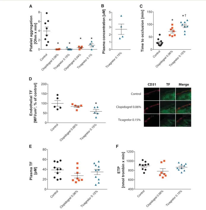 Figure 6 Platelet aggregation, endothelial TF expression, time to arterial occlusion, and thrombin potential