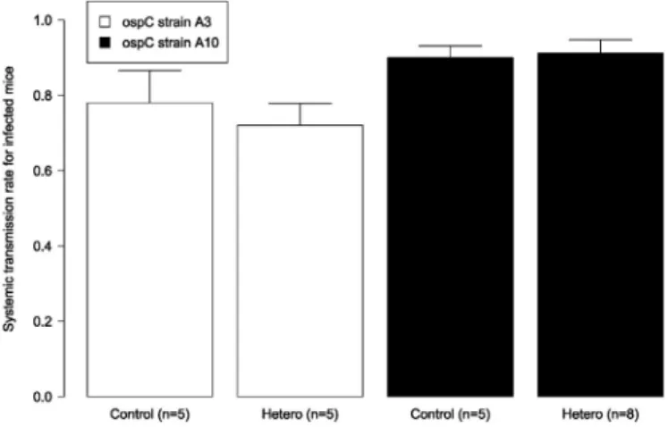 Fig. 1. Cross-reactive acquired immunity in the mouse had no effect on the systemic transmission rate of B