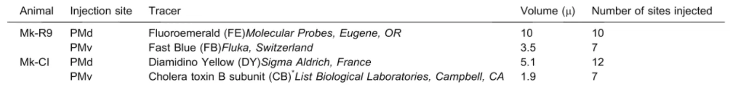 Table 1. Summary of injection sites, tracers, volumes and number of sites injected in the two macaques Mk-R9 and Mk-CI