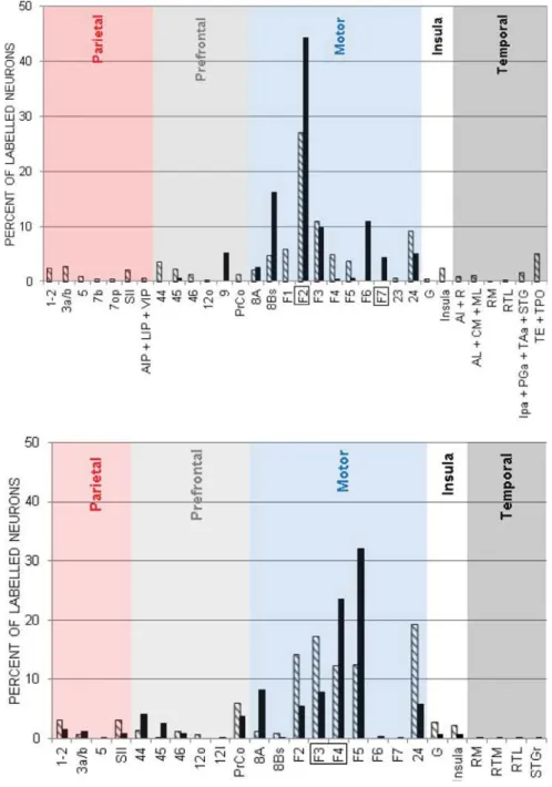 Table 2. Summary of distribution of retrogradely labeled callosal inputs to PMd Mk-R9 Mk-CI j Parietal 9.7% 0% Prefrontal 8.4% 5.7% Motor 69.1% 94.3% Insula 2.9% 0% Temporal 9.1% 0%http://doc.rero.ch