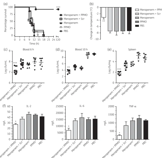 Figure 6. In vivo infectious challenge and treatment with meropenem and NDM-1 PPMO. Mice were infected with E