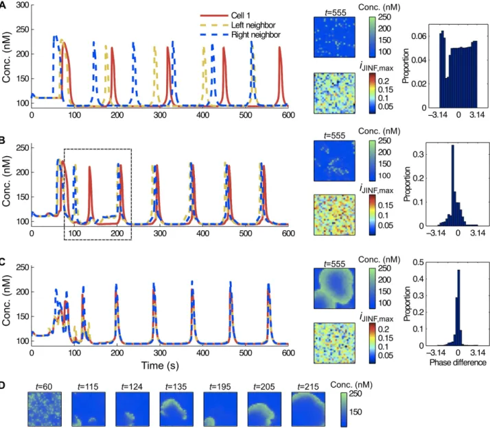 Fig 6. Moderate coupling produces bursting phenomena in noisy systems (model G R with p = 0)