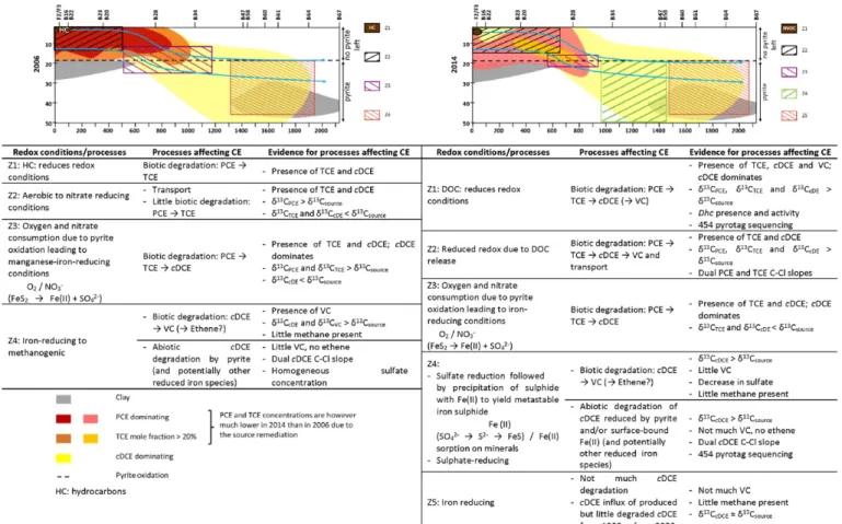 Fig. 11. Overview summarising redox conditions and processes as well as processes affecting chlorinated ethenes (CE) in the subsurface in 2006 and in 2014.