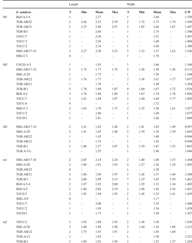 Table 2 Lengths and widths of the upper and lower molars taken of Eucricetodon species from Valley of Lakes (Mongolia)