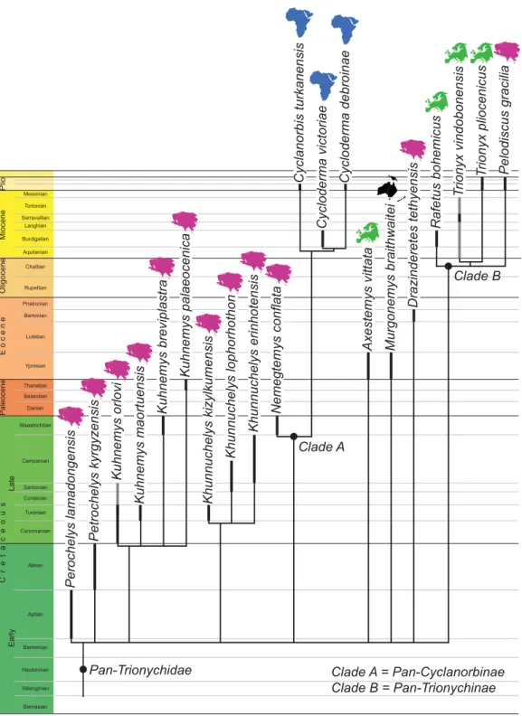 Figure 1. The phylogenetic relationships and stratigraphic and biogeographic distribution of valid pan-triony- pan-triony-chid taxa