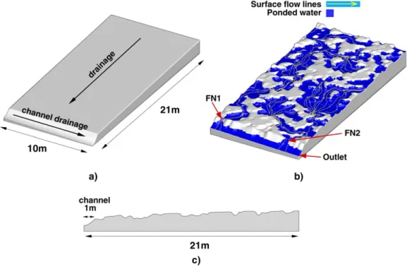 Figure 3. Geometry of the wetland segment : (a) planar reference model showing the main drainage direction and channel location ; (b) smoothed realization of the wetland’s hummocky microtopography, with simulation results of developed overland ﬂow in the w