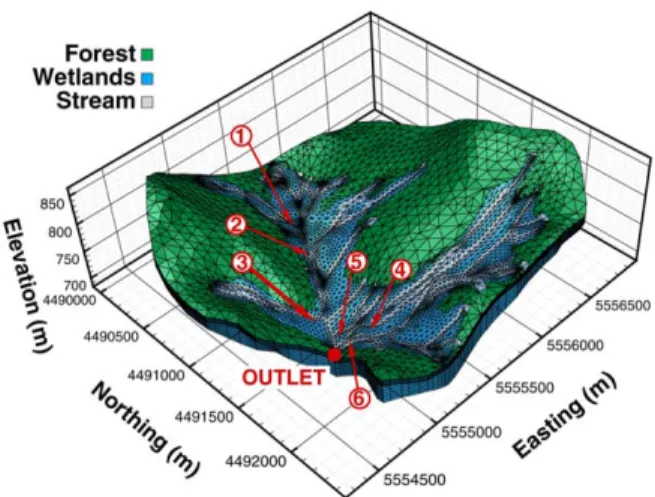 Figure 4. Model spatial discretization of the Lehstenbach catchment and distribution of the stream, wetland, and  for-est areas (the z axis is exaggerated by a factor of 5)
