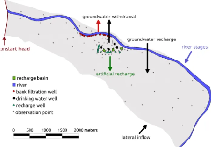 Fig. 1. Schematic representation of model domain and boundary conditions.