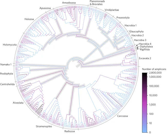 Figure 2 | Phylogenetic placement of Neotropical soil protist reads on a taxonomically unconstrained global eukaryotic tree