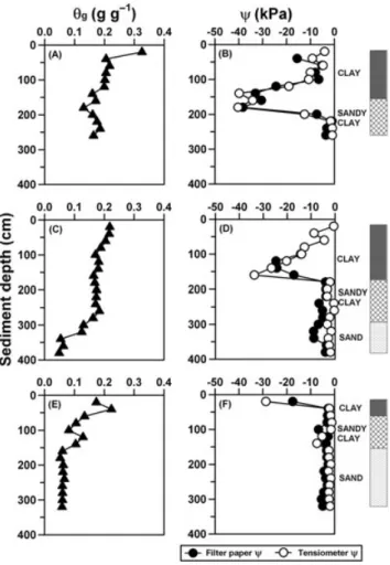 Figure 11. Variations in gravimetric water content (A, C and E) and in ﬂ uid pressure head (B, D and F) in augered riverbed pro ﬁ les at the Lachlan – Hillston Bridge site for Pro ﬁ le 1 (A, B), Pro ﬁ le 2 (C, D) and