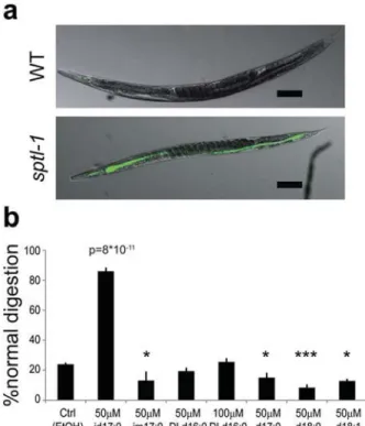 Fig. 4 C17 iso-branched sphinganine is toxic for budding yeast.