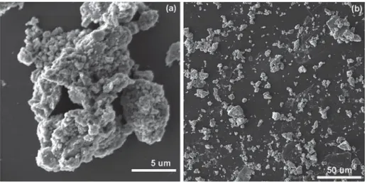 Fig. 3. SEM images of the composite of nano-LiMnPO 4 and carbon.