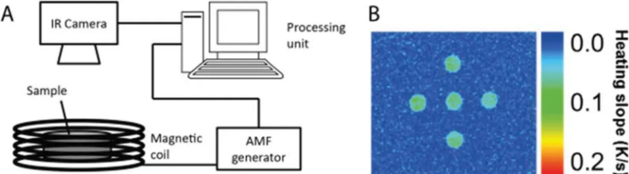 Fig. 1. A simpliﬁed scheme of the lock-in thermography system (A) consisting of the sample, a magnetic coil, a thermal imaging device and processing unit