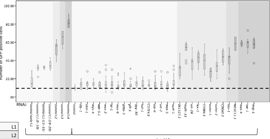 Figure S5: Suppression of let-418 associated V cell mitotic arrest. All 29 RNAi clones were tested for their ability to  suppress V cell mitotic arrest and all them induced V cell mitotic division.