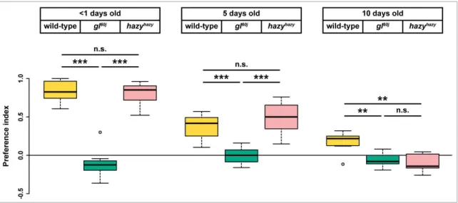 Figure 4. Age-related changes in the phototaxis of wild-type, glass and hazy mutant ﬂ ies