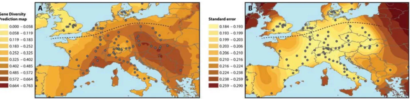 Figure 3.  Visualization of the distribution of gene diversity by kriging: (A) prediction map and (B) standard error.