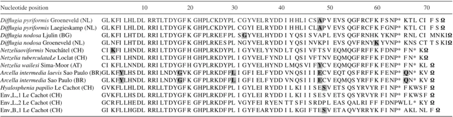 Table 3. Amino acid sequence of NAD9 revealing the TGA codon (*) and the RNA editing sites (bold letter)