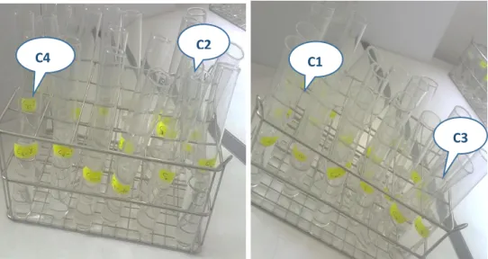 Figure 10 : Etape d’un test chronique en cours de la réalisation. 