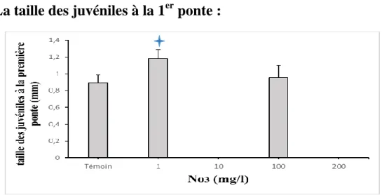 Figure 12 : Variation de la taille des juvéniles des daphnies a la 1 er  ponte dans les  différentes concentrations