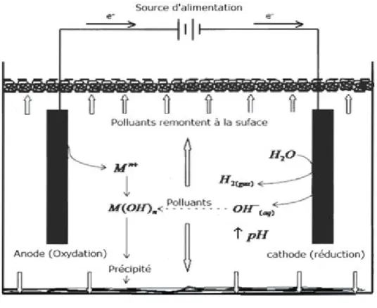 Figure 2.1: Schéma du principe d'électrocoagulation [19] 