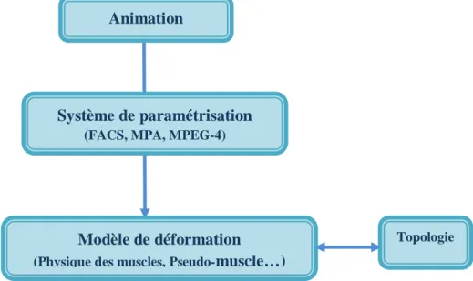 Figure 2.2 : Animation  Paramétrisation  Déformation 