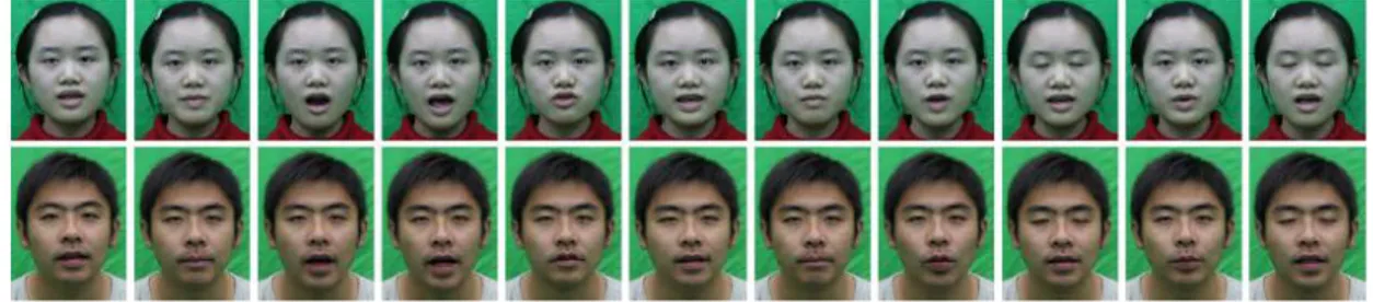 Figure II.4: Résultat de  transfert des expressions faciales guidé par les données. 