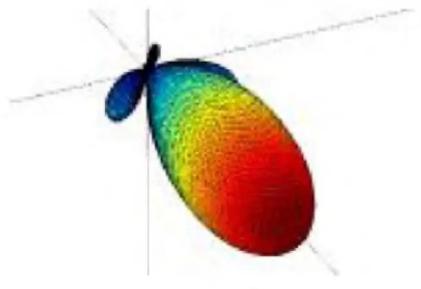 Figure I .5 :  Représentation  graphique 3D d'un diagramme  de rayonnem ent  directive
