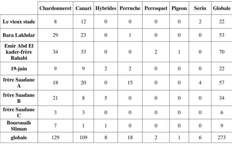 Tableau 3 : Catégorisation des propriétaires d’oiseaux par classe sociales   