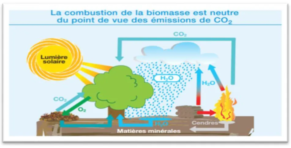 Figure 35 : la combustion de la biomasse  La valorisation énergétique de la biomasse PDF 