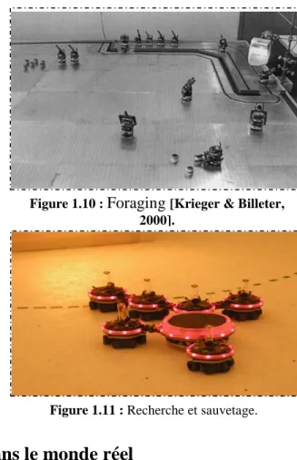 Figure 1.10 :  Foraging  [Krieger &amp; Billeter,  2000]. 