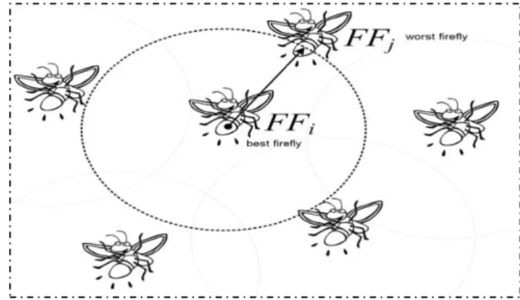 Figure  3.1 : comportement d’attraction des lucioles [Ali et al.,2019] 