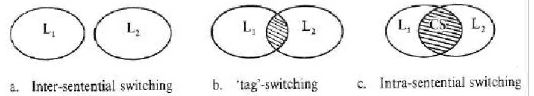 Figure 1.2. The Types of Code-switching and the Degree of Code-switching in them 