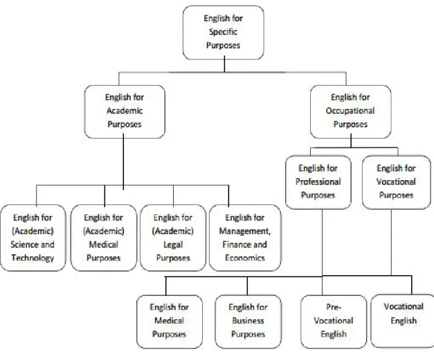 Diagram 1.2: ESP Classification (adapted from Dudley-Evans and St John (1998, p.6)) 