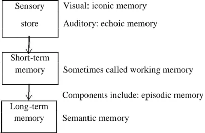 Figure 1.3 A simple overview of the human information-processing system. 