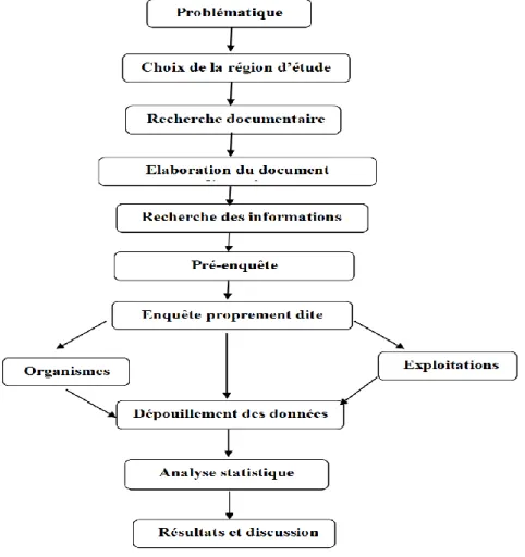 Figure 2. Schéma méthodologique 