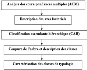 Figure 4. les differentes étapes de l’analyse mutivariée réalisée   1.5.1 Analyse typologique et modalités des variables  