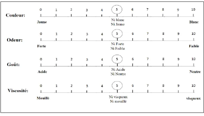 Figure 3. Echelle structurée du profil sensoriel   1.2.4  Analyse statistique  