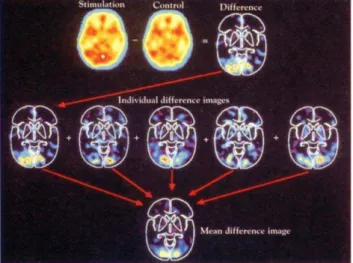 Figure 3 : Méthode de soustraction et de moyennisation statis- statis-tique à la base de l’IRMf (Posner, Raichle, 1994).