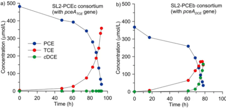 Figure 3. Change in C (blue circle) and Cl (red triangle) isotope ratio as a function of reaction progress for a representative replicate of consortium SL2-PCEc (a) and SL2-PCEb (b)