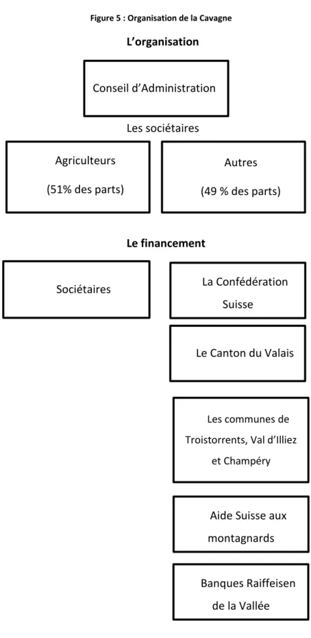 Figure 5 : Organisation de la Cavagne 